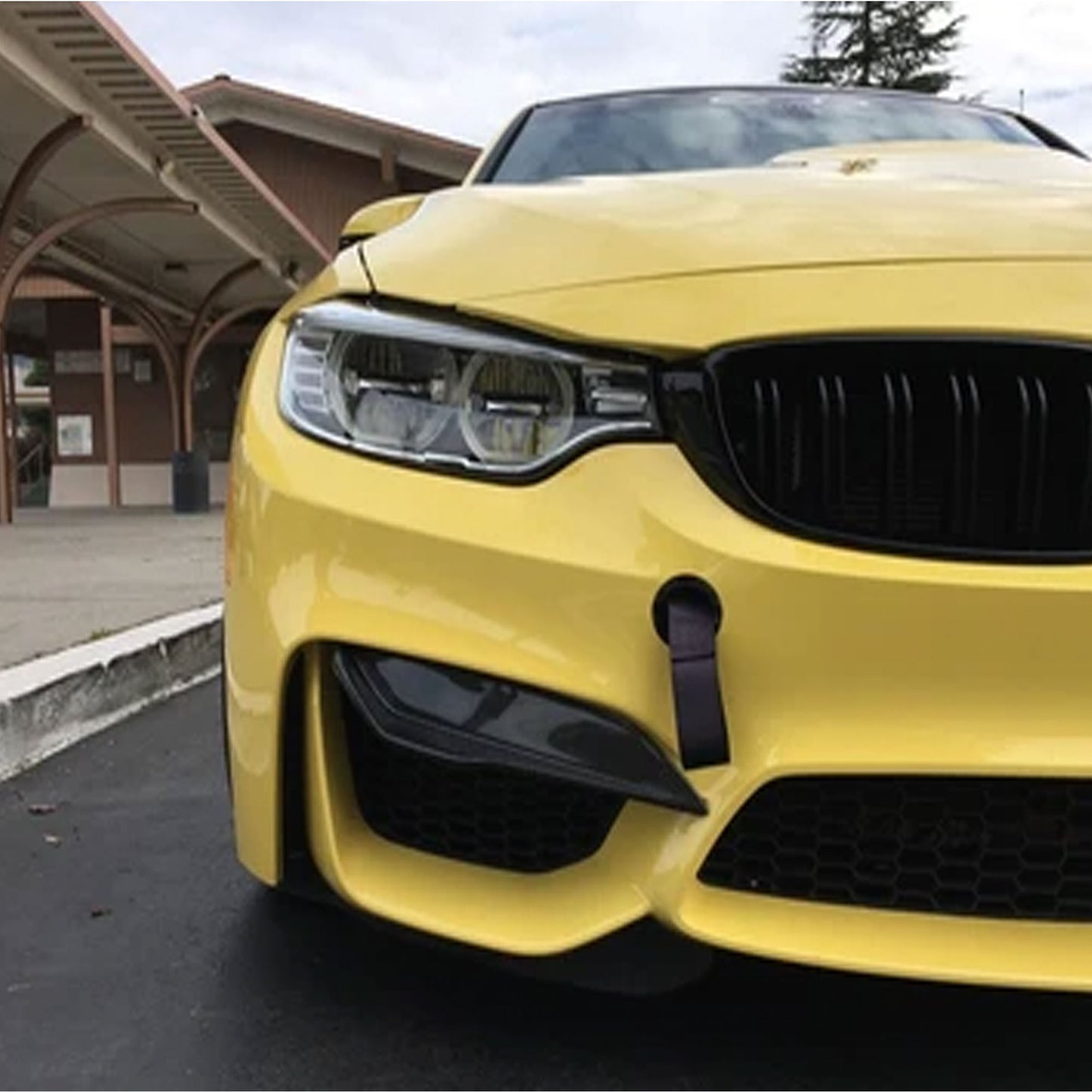 SM™ M4 Designed Bumper Carbon Fiber Fangs