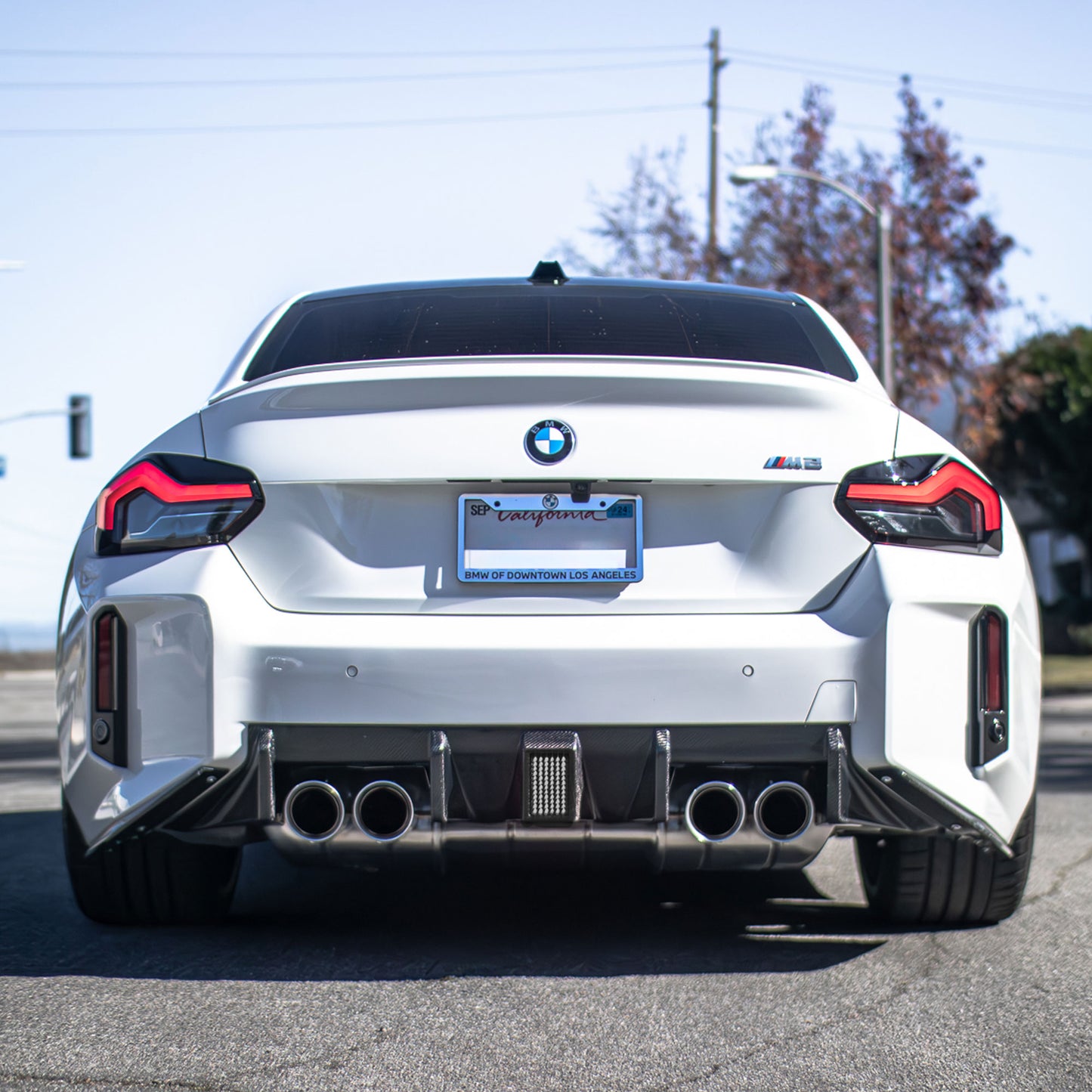 G87 M2 SM™ Carbon Fiber Diffuser